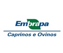 Embrapa Embrapa