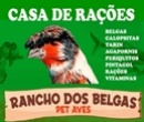 Casa Casa