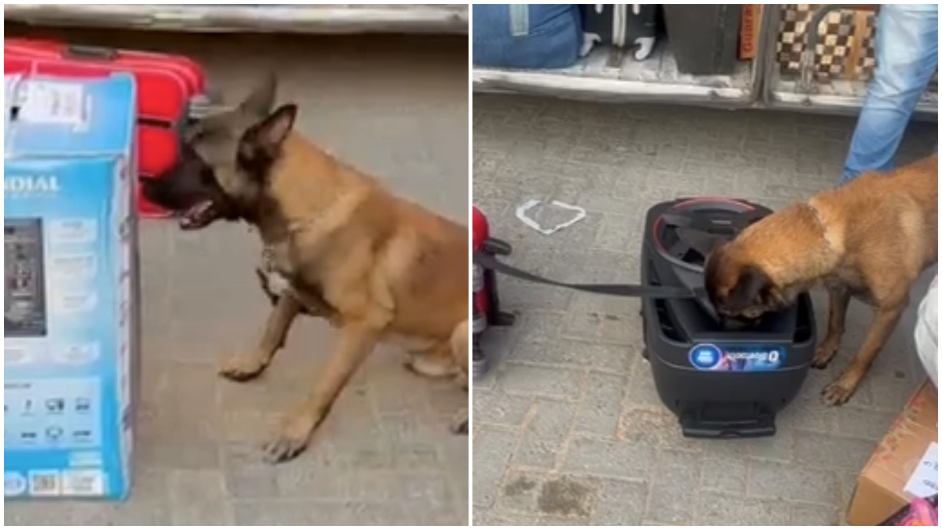 foto Not&iacute;cia Sobral