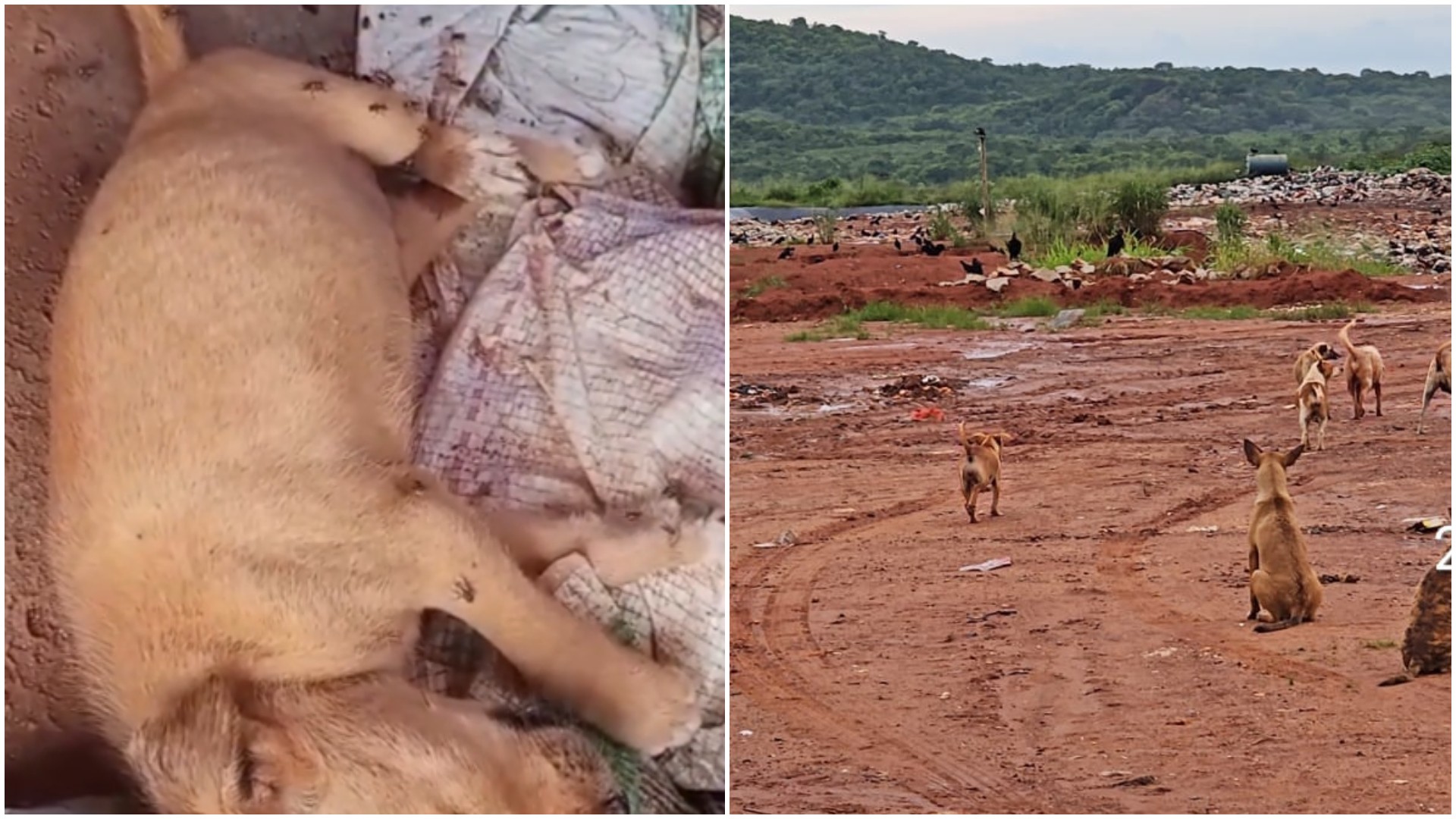 foto Not&iacute;cia Sobral